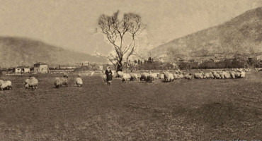 NOGOMETAŠI ZAMIJENILI OVCE Pogledajte kako je izgledao ‘stadion’ Zrinjskog 1930-tih godina