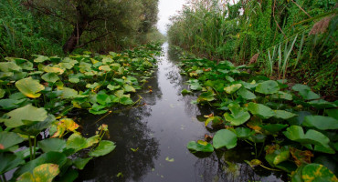NAJVRJEDNIJE ŠTO IMAMO Livanjsko, Glamočko i Kupreško polje te Hutovo blato