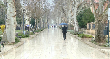 UPOZORENJE ZA MOSTAR Platani ne postoje zbog plakata