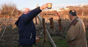 VINCEKOVO U Čitluku obilježen početak rezidbe vinove loze
