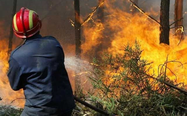 požar, Tomislavgrad, vatrogasci