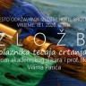 ČITLUK U ponedjeljak izložba radova polaznika tečaja crtanja i slikanja
