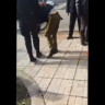 SARAJEVO Uhićen tijekom pljačke banke