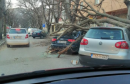  Stablo srušeno na automobil