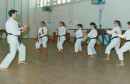 Karate klub Hercegovina, karate, Brotnjo, Tanja Vučić