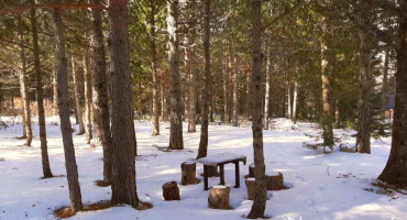 snijeg, materijalna šteta, Tomislavgrad