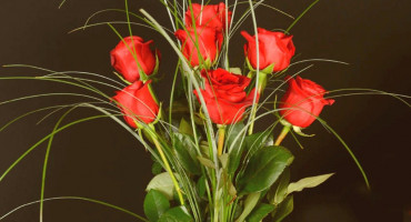 Turska izvozi 60 milijuna ruža uoči Valentinova