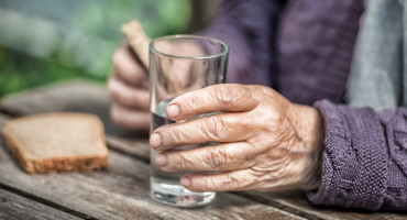 40 dana o kruhu i vodi