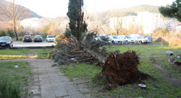 MILE PULJIĆ Bura s borovima povukla i vodovodne cijevi