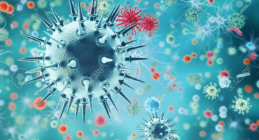 virus, BIH