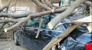 vjetar, razbijeni automobili