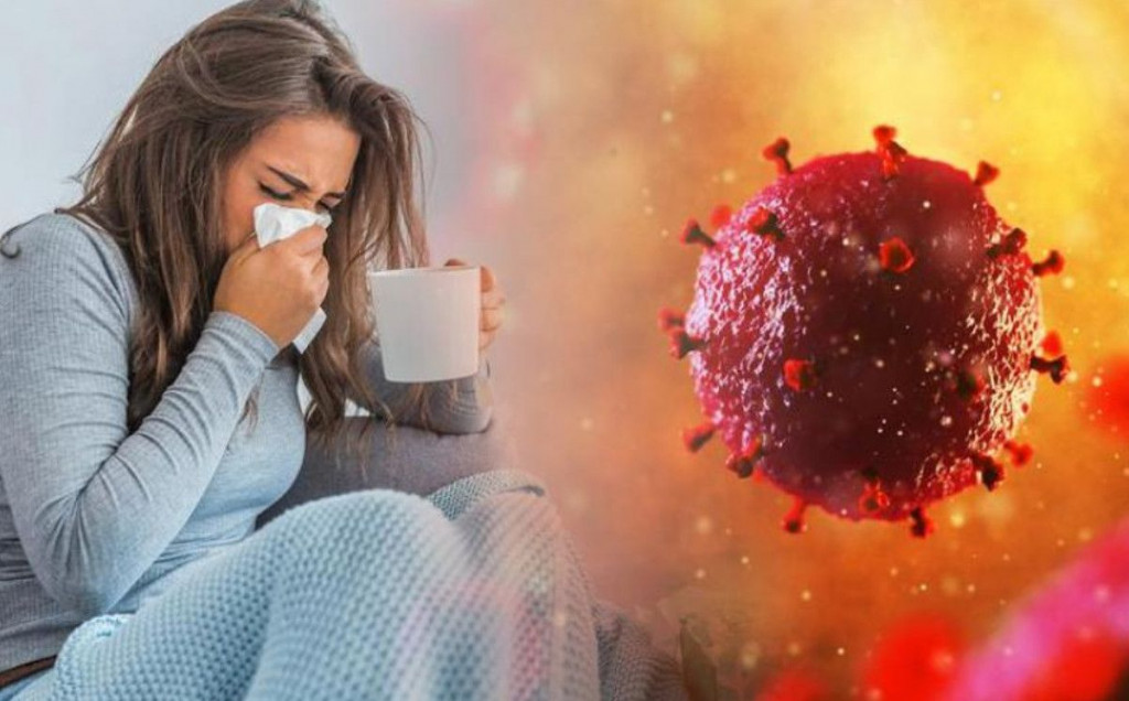 Koje su razlike u simptomima prehlade, gripe i koronavirusa