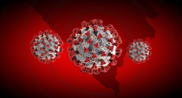 Široki brijeg zhž koronavirus
