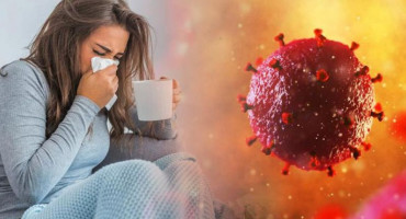 Koje su razlike u simptomima prehlade, gripe i koronavirusa