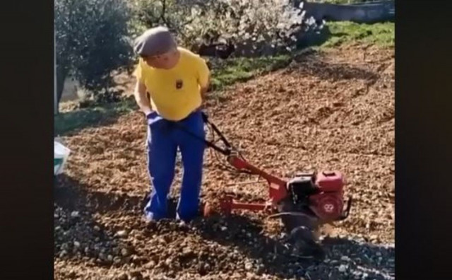sadnja, toaletni papir, erogag