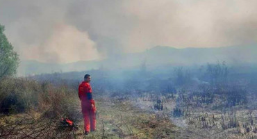 Požar u Parku prirode 'Hutovo blato' i dalje aktivan