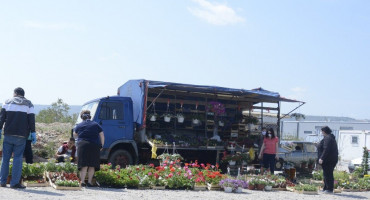 GRAĐANI POHRLILI PO RASADE Najviše se prodaju rajčica i paprike, cvijeće ide odlično