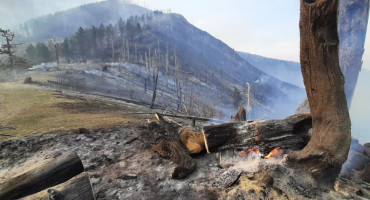 VATROGASCI JOŠ UVIJEK NA RUJIŠTU Trenutno kuće nisu ugrožene, ali još ima plamena s kojim se borimo