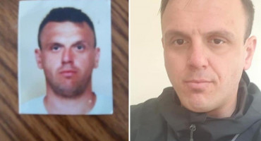 Nestao Čapljinac Vidak Rozić