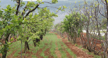Otvorena javna rasprava: Što donose izmjene Zakona o poljoprivrednom zemljištu u HBŽ?