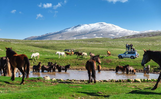 Livnjaci ne žele vjetropark na Kruzima, traže proglašenje zaštićenog krajolika