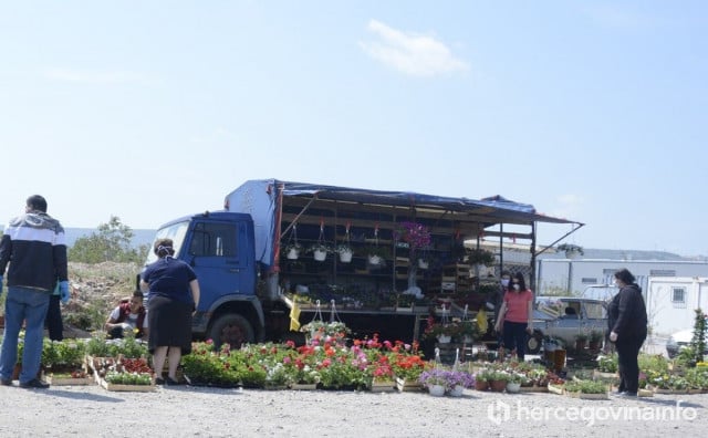 GRAĐANI POHRLILI PO RASADE Najviše se prodaju rajčica i paprike, cvijeće ide odlično