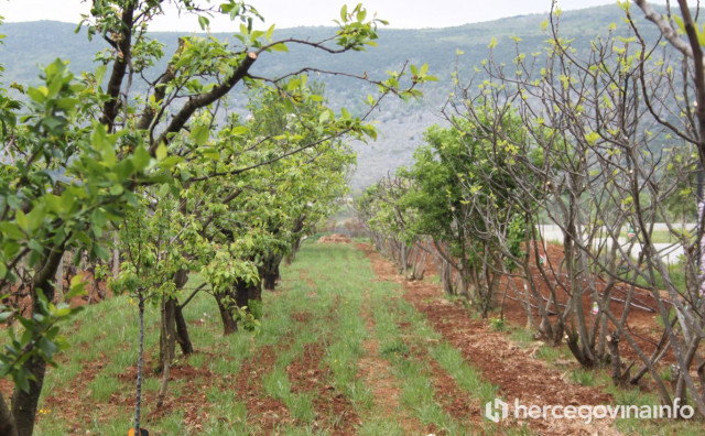Otvorena javna rasprava: Što donose izmjene Zakona o poljoprivrednom zemljištu u HBŽ?