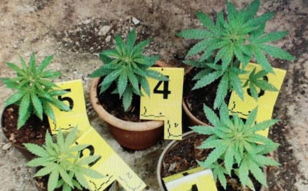 PRETRESI U LJUBUŠKOM Pronađene granate, marihuana, streljivo
