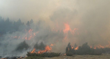 Sedam osoba osumnjičeno za izazivanje požara u općini Prozor-Rama