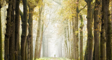 MEĐUNARODNI PRAZNIK RADA U BiH ove godine bez velikih okupljanja, na snazi policijski sat