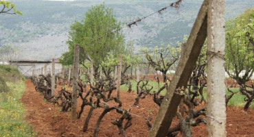 Obavijest za poljoprivredne proizvođače