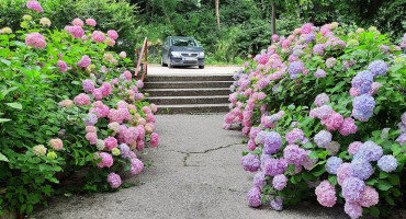 Jeste li spremni za ljeto? Počinje pred ponoć