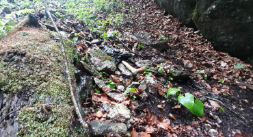 VLAŠIĆ Pronađeni posmrtni ostaci više osoba