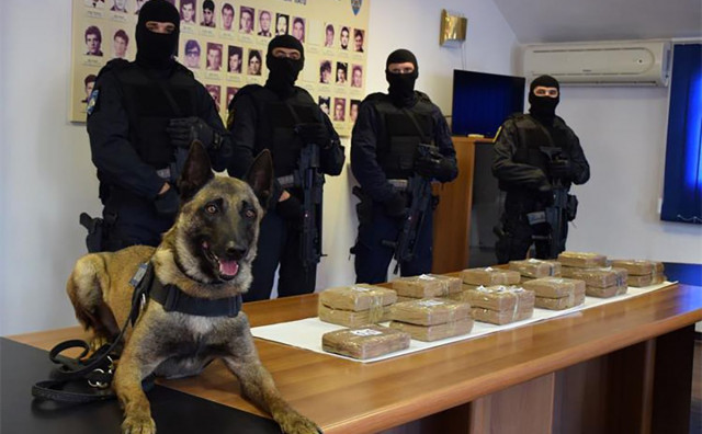 Zapljena kokaina u Dubrovniku