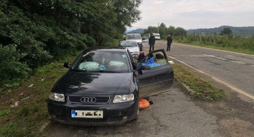 Krijumčarenje migranata Kostajnica