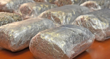 NA CESTI STOLAC-LJUBINJE Dileri u Hercegovini ostali bez 30 kg droge