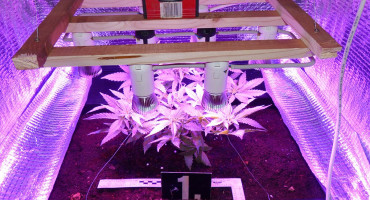 Policija kod Ljubušaka pronašla laboratorij za uzgoj marihuane i veći iznos novca