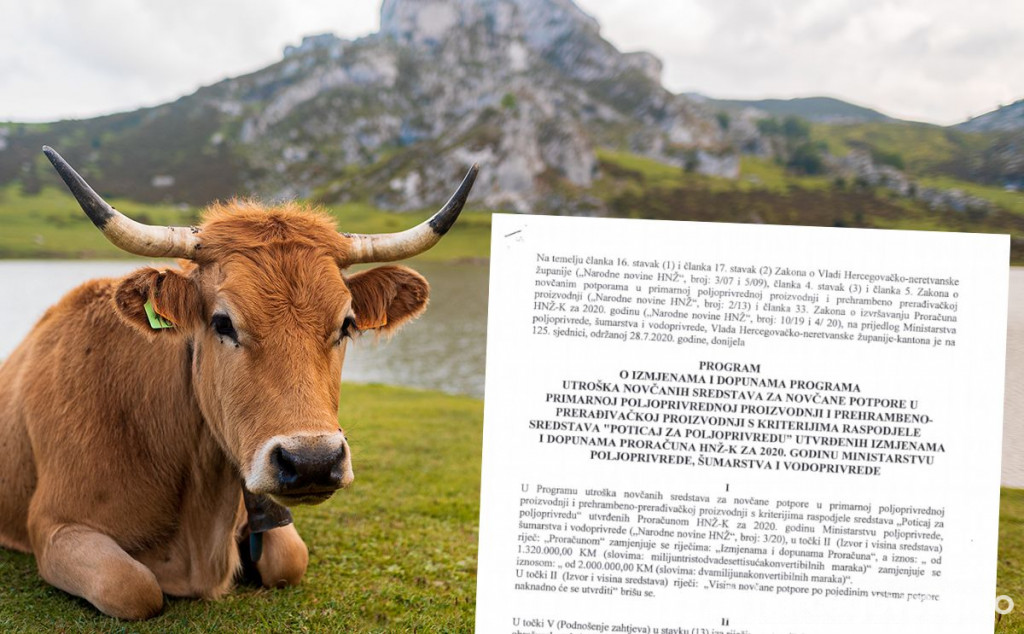 HNŽ Veći poticaj po teletu nego po djetetu