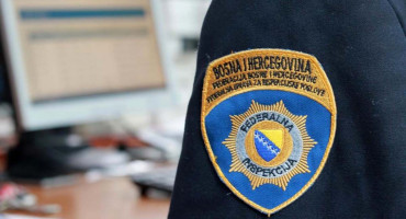 Federalna inspekcija