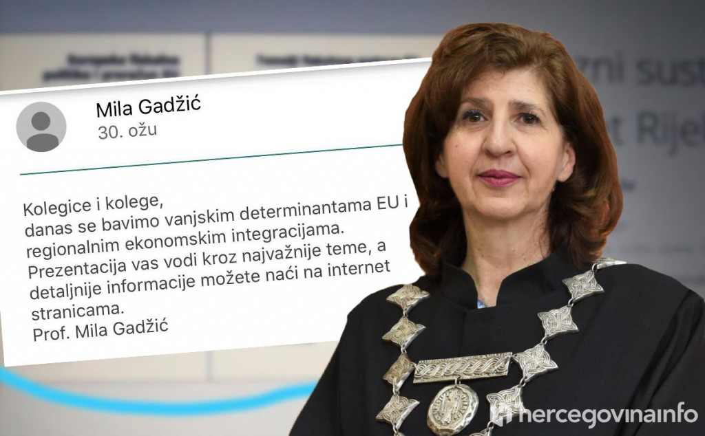 PISMO STUDENATA "Dekanica Gadžić tvrdi da imamo najbolju online nastavu, a potpisala se na prezentaciju iz Rijeke, ni kameru ne pali"