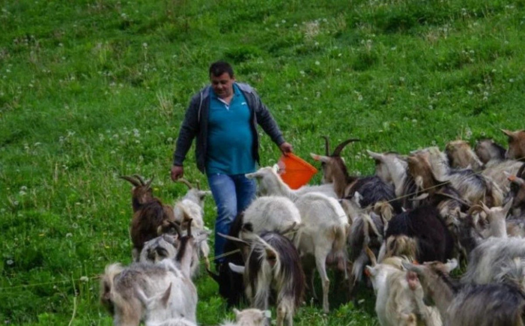 TADIJI IZ RAME UKRALI STADO KOZA Smiju mi se u policiji, a ja od ovoga živim