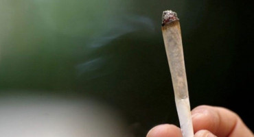 Joint Marihuana