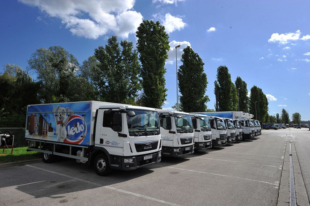 PRODAJA LEDA ČITLUK U pregovore ušao samo Nomad Foods