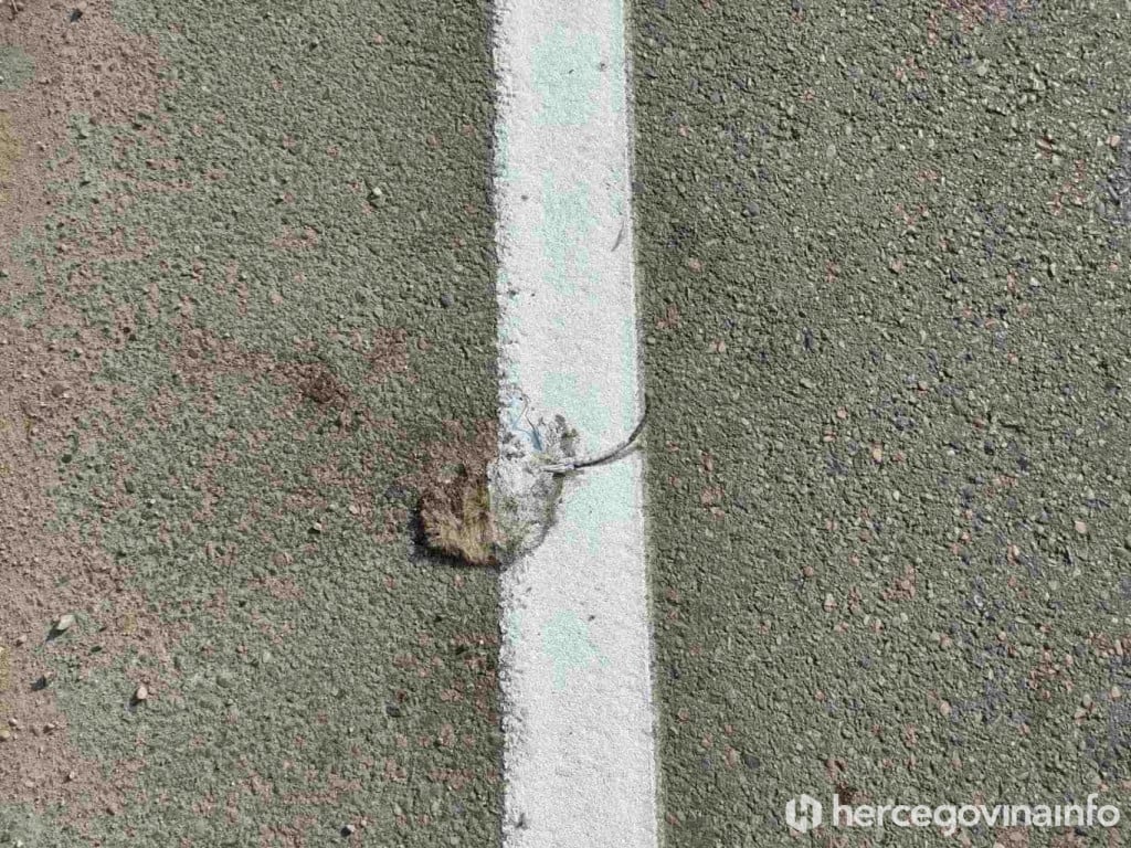 Miš na cesti