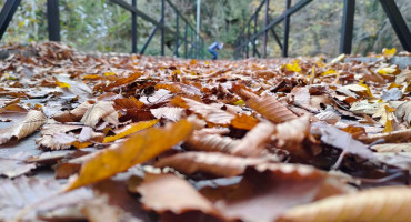 VRIJEME Jesenska toplina i sunce će nas grijati i narednih dana