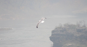 Narednih dana nas očekuje dosta magle i pomalo sunca