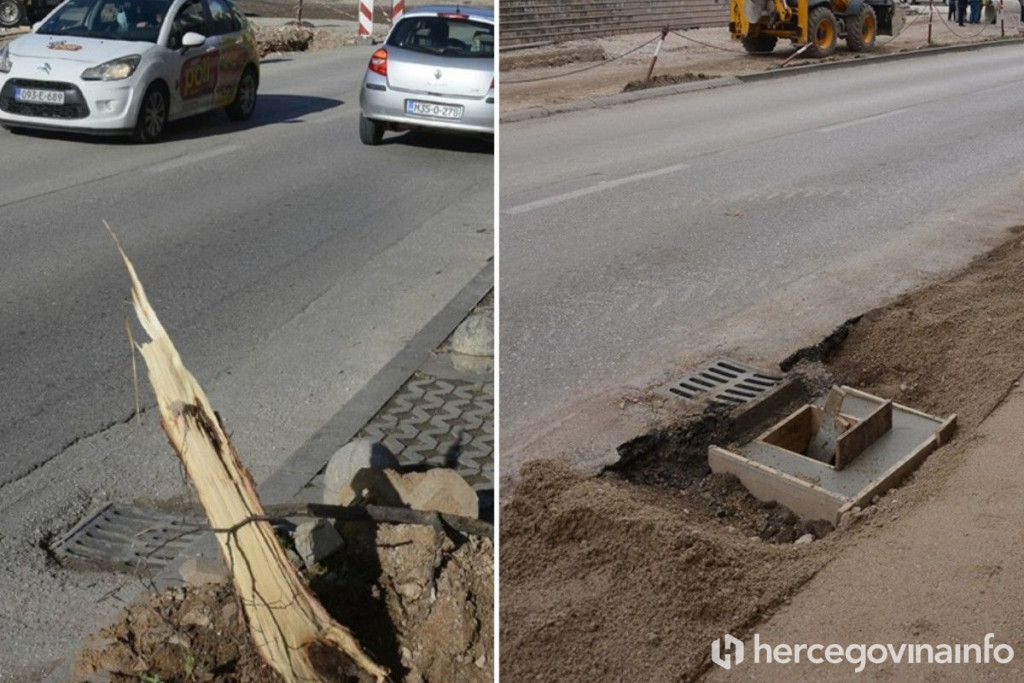 GDJE LIPE VIŠE NE CVATU Izgleda da je 30 stabala palo zbog 30-50 centimetara