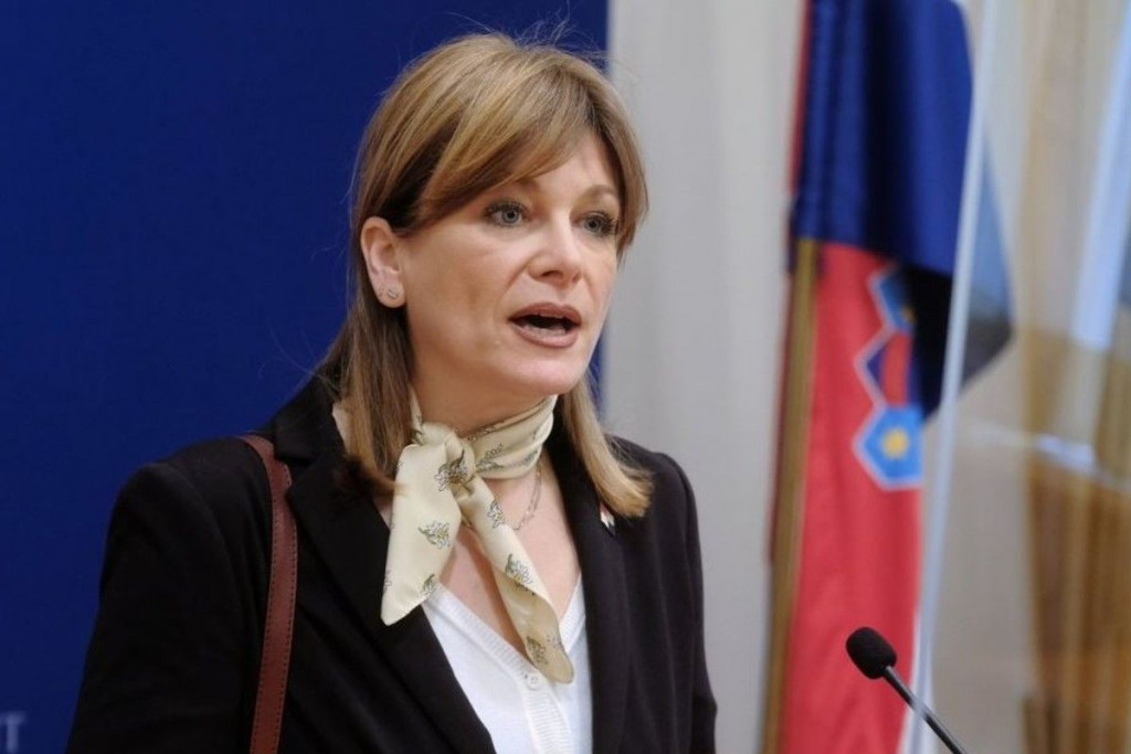 Vidović Krišto traži hitnu istragu o tome kako je Milenko Bašić prešao granicu