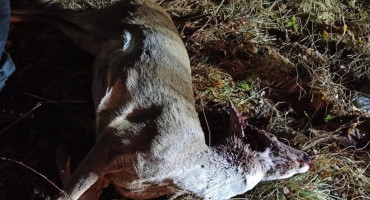 TOMISLAVGRAD Krivolovci pucali i na ljude