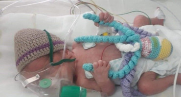 Pletena hobotnica beba inkubator